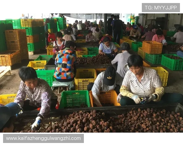 K8凯发官方旗舰店最新新闻动态及时掌握企业最新发展与行业动态